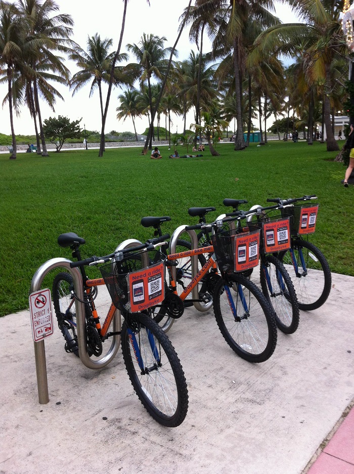 велосипеды на велопарковке на фоне пальм