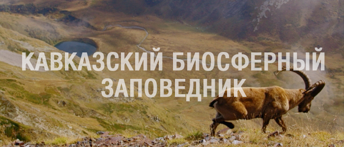 Кавказский биосферный заповедник