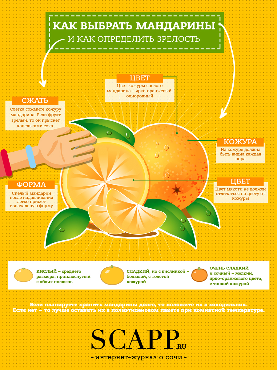 Как правильно выбирать мандарины инфографика