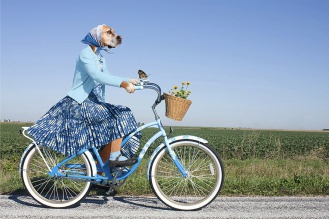 Собака велосипед