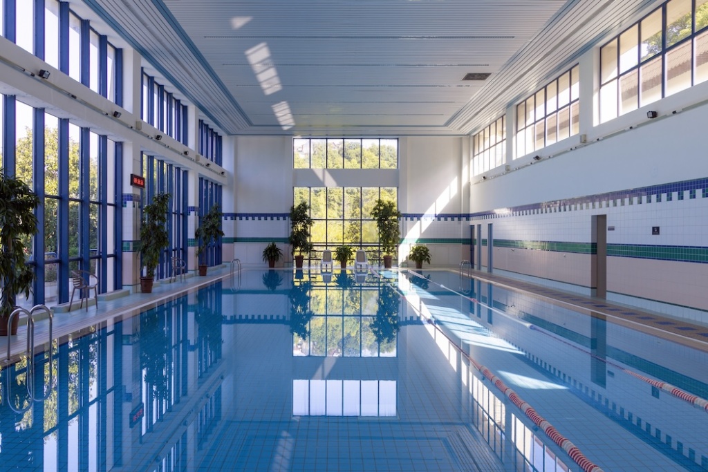 Флоритуризм: Цветы, ради которых стоит приехать в Сочи | SCAPP